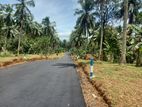 Land Plots For Sale Thalagala