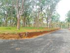 Land Plots in Ahangama