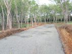 Land Plots in Ahangama