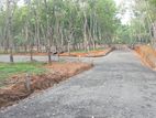 Land Plots in Ahangama Tourism Area