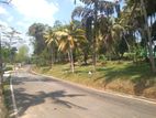 Land Plots in Homagama Dampe Road