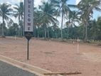 Land plots in Kurunegala 5 Road – Dambadeniya