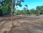 Land Plots Near to Turtle Beach Tangalle Rekawa