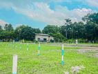 Land Plots Sale in Close to Kuliyapitiya University L08