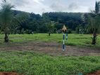 Land Plots Sale in Kahathuduwa