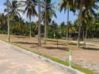 Land Plots Sale in Kothalawala