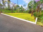 Land Plots Sale in Mirigama L08