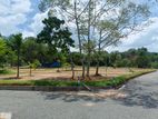 Land Plots sale in Nawala