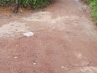 Land Sale in Pugoda
