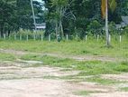 Land Sale Dagonna
