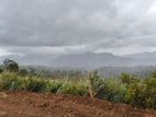 Land Sale – Doluwa, Kandy