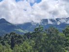 Land Sale For Cabana Hotel Matale