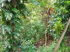 Land for Sale Ukuwela