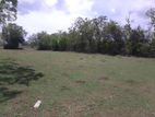 Land Sale Kalmunai