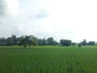Land for Sale Batticaloa