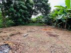 Land for Sale Pasyala