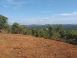 Land for Sale in Narammala