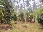 Land for Sale in Weliweriya