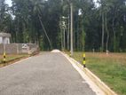 land sale
