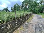 Land For Sale Kirindiwela