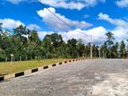 land sale