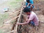 land sale