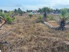 Land Sale Kaakaitheevu