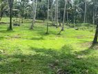 Land Sale Anguruwathota