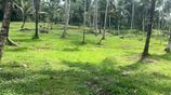 Land Sale Anguruwathota