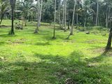 Land Sale Anguruwathota