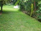 Land for Sale in Kurunegala