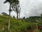 Land for Sale in Matale