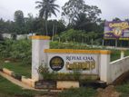 land sale