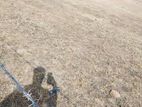Land for Sale Trincomalee