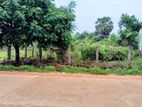 Land Sale for in Kinniya