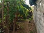 Land Sale Trincomalee