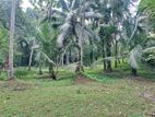Land Sale in Ahugammana, Delgoda