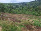 Land for Sale in Aluthambalama - Puwakpitiya