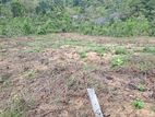 Land for Sale in Aluthambalama - Puwakpitiya