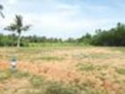 Land Sale in Aulegama