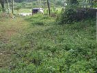 Land Sale in Avittava