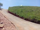 Land Sale in Dethota