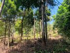 Land Sale In Gelioya