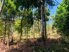 Land Sale In Gelioya