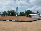 Land Sale in Gorakana Y31