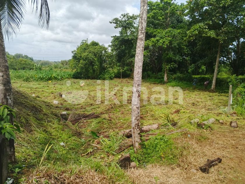 Land Sale in Holuwagoda Galle | ikman