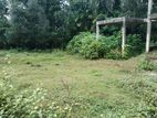 Land for Sale in Horana