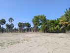 Land Sale in Jaffna - 289 Parapu closer to Water-13 Lakhs /Parapu