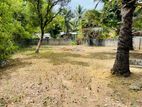 Land Sale in Jaffna