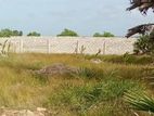 Land Sale in Jaffna